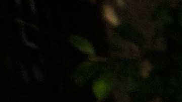 Simpatizantes de Nicolás Maduro protestan en una calle de Caracas, Venezuela