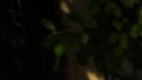 Simpatizantes de Nicolás Maduro protestan en una calle de Caracas, Venezuela