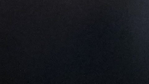 Venus Williams, tenista estadounidense.