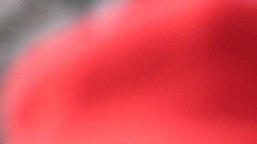 La huelga empezó a mediados de enero, con enfermeras de los sistemas de salud presionando por lo que consideran un contrato más favorable.
