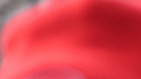 La huelga empezó a mediados de enero, con enfermeras de los sistemas de salud presionando por lo que consideran un contrato más favorable.