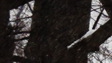 El director de la Coalición para las Personas sin Hogar preguntó por qué la llamada del viernes en la noche solo provocó una respuesta policial.