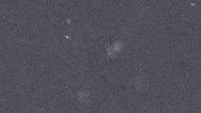 Benfica's Gianluca Prestianni reacts after missing a chance during a Champions League opening phase soccer match between Benfica and Real Madrid, in Lisbon, Wednesday, Jan. 28, 2026. (AP Photo/Armando Franca)