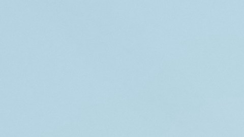 Padre e hijo abordaron un vuelo desde Texas en las primeras horas del domingo.