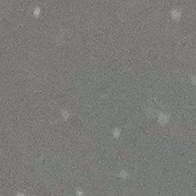 Sanción a la que se expone Gianluca Prestianni de confirmarse que le dijo "mono" a Vinícius