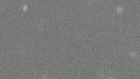 Sanción a la que se expone Gianluca Prestianni de confirmarse que le dijo "mono" a Vinícius