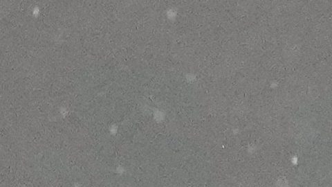 Sanción a la que se expone Gianluca Prestianni de confirmarse que le dijo "mono" a Vinícius