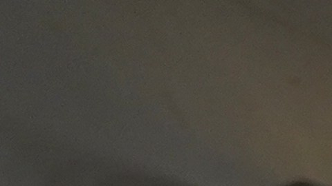 El presidente Donald Trump y la primera dama Melania Trump.