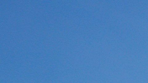 A medida que las temperaturas descendían por debajo del punto de congelación, los aspersores rocían agua sobre las plantas sensibles a las heladas, cubriéndolas con hielo para aislarlas del frío en DeWar Nurseries.