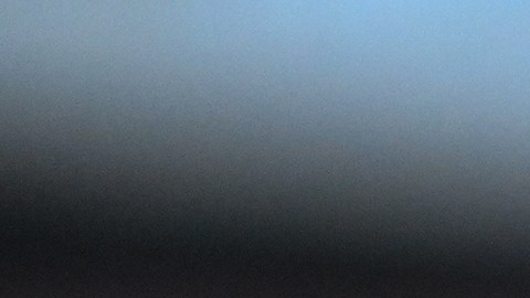 El cuidador del Club de la Marmota, AJ Dereume, sostiene a Punxsutawney Phil, la marmota que pronostica el clima.