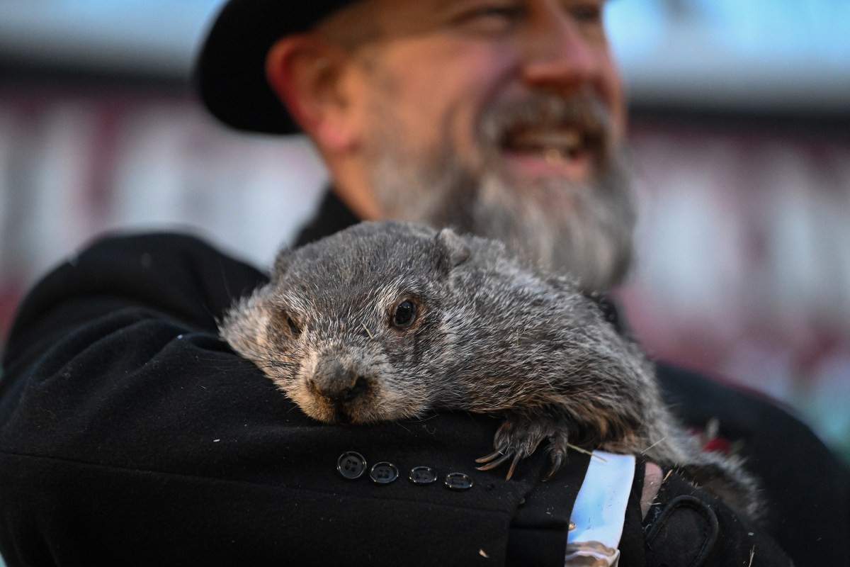 Día de la Marmota: Punxsutawney Phil hace su predicción meteorológica 140