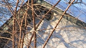 La persecución de inmigrantes se ha tornado más violenta durante el gobierno de Trump.