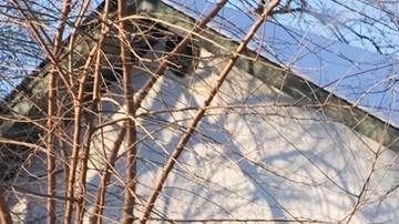 La persecución de inmigrantes se ha tornado más violenta durante el gobierno de Trump.