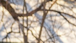 Las operaciones migratorias en Minnesota han sido de las más violentas en los últimos meses.