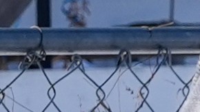 Una persona es detenida por agentes federales el martes 3 de febrero de 2026 en Minneapolis.