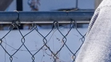 Una persona es detenida por agentes federales el martes 3 de febrero de 2026 en Minneapolis.