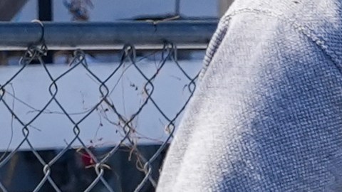 Una persona es detenida por agentes federales el martes 3 de febrero de 2026 en Minneapolis.