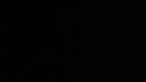 Alrededor de 2,000 agentes federales seguirán en el estado, señaló Homan.