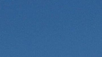 La coalición asevera que la jornada es solo el principio de una presión sostenida hasta que el Congreso actúe contra Noem.