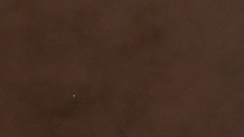 Personas se congregan durante una protesta contra las operaciones de control migratorio después de que Kristi Noem, secretaria del Departamento de Seguridad Nacional, hablara en la frontera el miércoles 4 de febrero de 2026 en Nogales, Arizona.