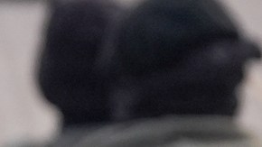 Castañeda denunció que fue golpeado en la cabeza con un bastón de acero.