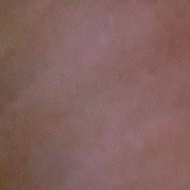 El presidente opinó que el show de Bad Bunny "no tiene sentido".