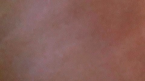 El presidente opinó que el show de Bad Bunny "no tiene sentido".