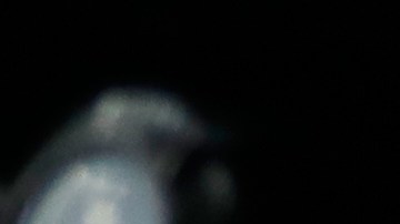 Guanipa había sido excarcelado en horas del mediodía del domingo.