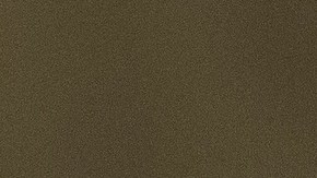 El funcionario denunció amenazas contra personal de ICE y sus familiares.