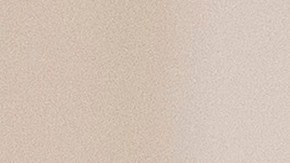 Representante demócrata de NJ, LaMonica McIver