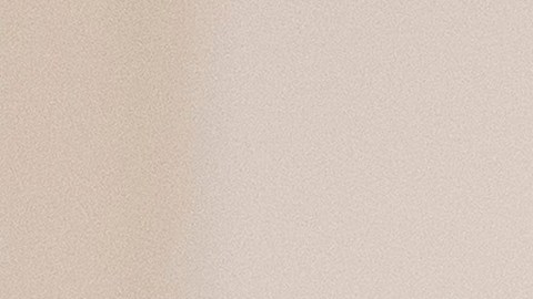 Representante demócrata de NJ, LaMonica McIver