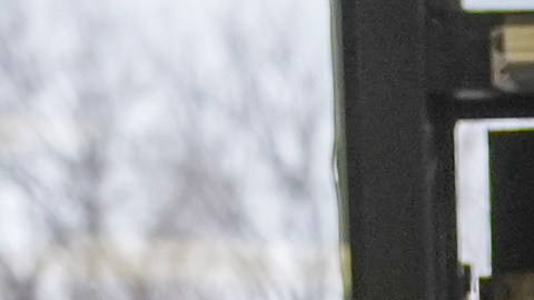 Foto referencial de agentes de ICE.