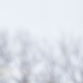 Foto referencial de agentes de ICE.