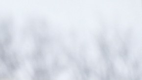 Foto referencial de agentes de ICE.