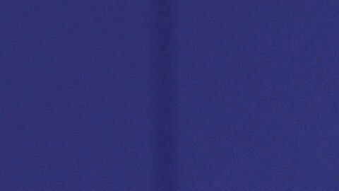 FILE - New York Mets outfielder Juan Soto throws the ball during the eighth inning of a baseball game against the Philadelphia Phillies, Aug. 27, 2025, in New York. (AP Photo/Pamela Smith, File)