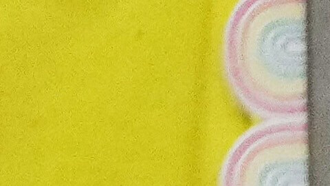 Elecciones generales de 2024 en EE.UU.