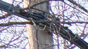 La policía llegó a tiempo para salvar al niño en la nieve. Foto referencial.