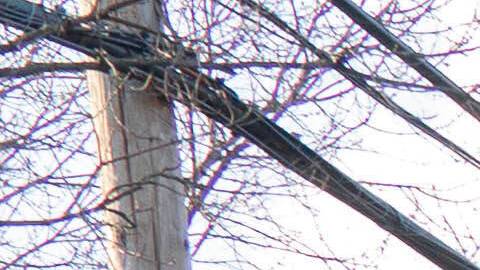 La policía llegó a tiempo para salvar al niño en la nieve. Foto referencial.