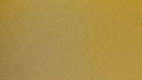 El presidente Donald Trump habla durante un evento sobre energía a base de carbón en la Sala Este de la Casa Blanca, el miércoles 11 de febrero de 2026, en Washington.