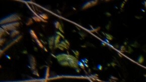 Oficina del DHS en Washington D.C.