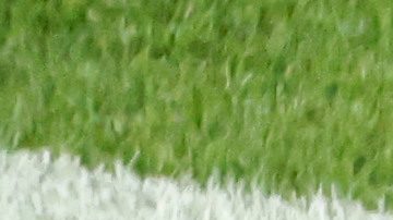 El safety de los Seattle Seahawks, Julian Love (20), y la defensa celebran después de una jugada durante el partido del Super Bowl 60 de la NFL contra los New England Patriots, el domingo 8 de febrero de 2026 en Santa Clara, California.