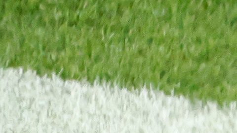 El safety de los Seattle Seahawks, Julian Love (20), y la defensa celebran después de una jugada durante el partido del Super Bowl 60 de la NFL contra los New England Patriots, el domingo 8 de febrero de 2026 en Santa Clara, California.