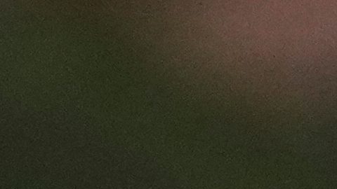 Jutta Leerdam, de los Países Bajos, celebra la obtención de una medalla de plata en el podio de la carrera de patinaje de velocidad femenino de 500 metros en los Juegos Olímpicos de Invierno de 2026, en Milán, Italia, el domingo 15 de febrero de 2026