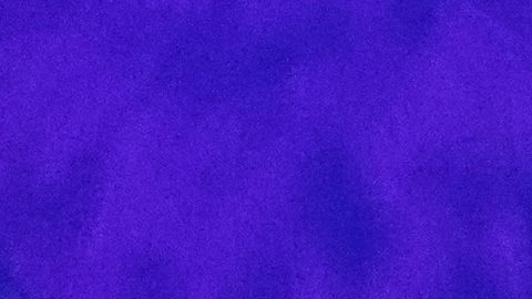 Carlo Ancelotti y Ronaldo Nazário disfrutan a lo grande el Carnaval de Río de Janeiro [Video]