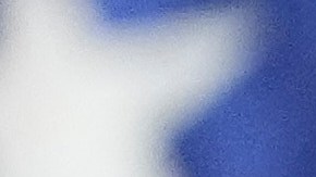 Rubio enfarizó que no hay derecho constitucional para una visa.