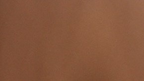 Rubio destacó que la prioridad de Trump es agotar la vía diplomática.