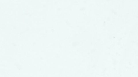 La canadiense Naomi Urness se cae durante el aterrizaje de su segunda carrera en la final de big air de esquí libre femenino en los Juegos Olímpicos de Invierno Milano Cortina 2026 en Livigno, Italia, el lunes 16 de febrero de 2026.