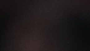 Gianluca Prestianni acusa a Vinícius de haberle llamado "enano" antes de todo lo ocurrido