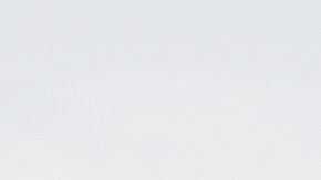 Los aranceles no serían definitivos para todos los sectores.