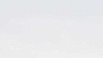 Los aranceles no serían definitivos para todos los sectores.